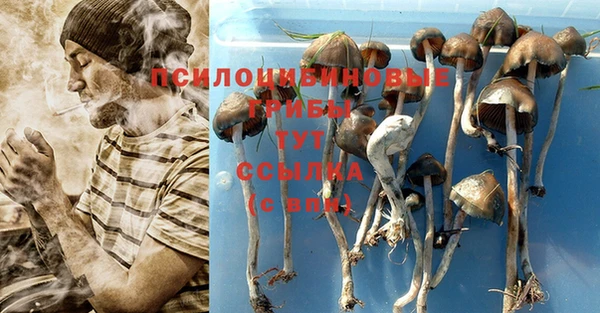 мяу мяу мука Тихорецк
