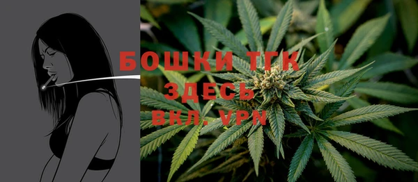 стафф Чегем