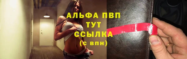спиды Чердынь