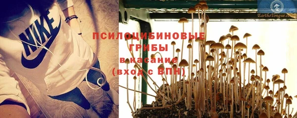кокс Лысково