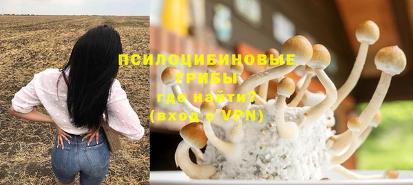 стафф Чегем