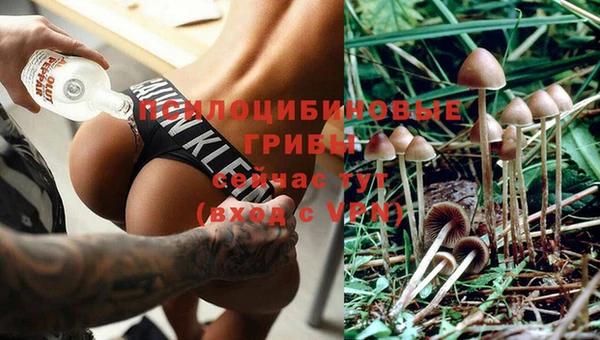 крисы Лысьва