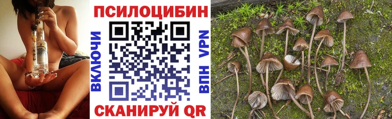 закладка  Абдулино  Галлюциногенные грибы Magic Shrooms 